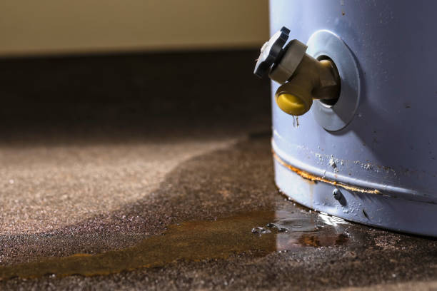 Phillips, WI Water damage restoration Pros