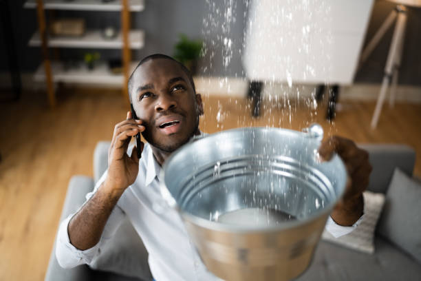 Best Water damage mitigation services  in Phillips, WI