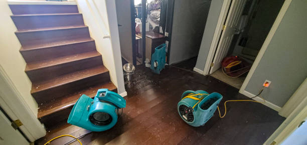 Best Flood damage cleanup  in Phillips, WI