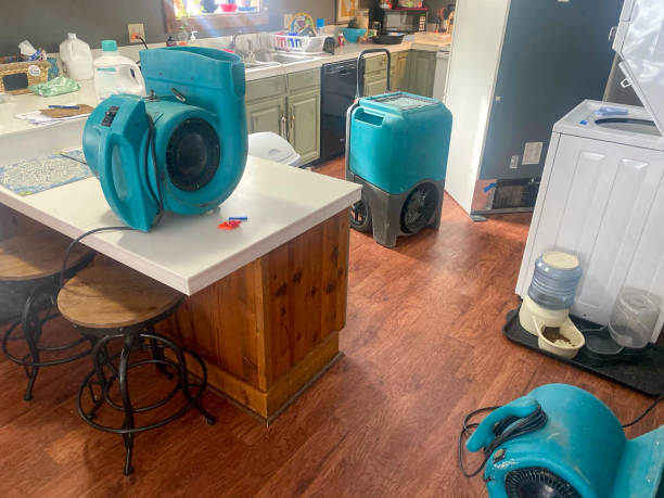 Best Professional water damage repair  in Phillips, WI