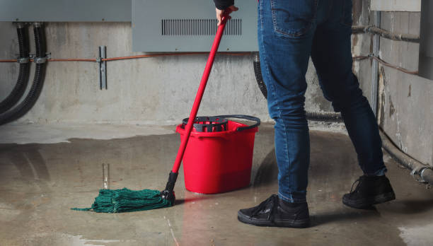 Best Flooded house restoration  in Phillips, WI