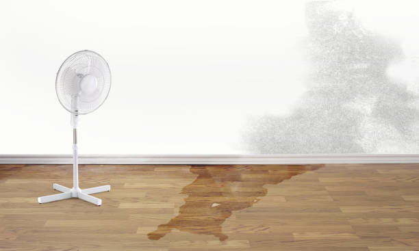 Trusted Phillips, WI Water damage restoration Experts
