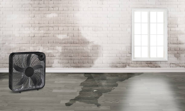 Phillips, WI Water damage restoration Pros