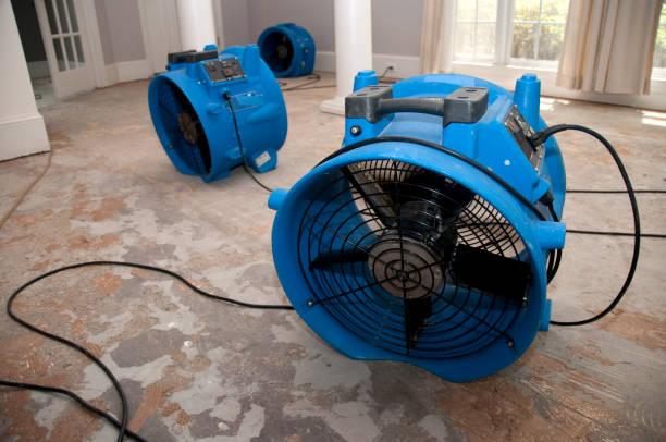 Best Water damage cleanup near me  in Phillips, WI