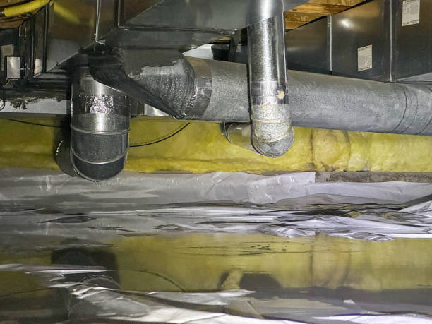 Best Professional water damage repair  in Phillips, WI