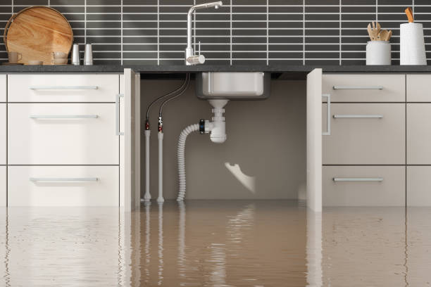 Best Local water damage restoration  in Phillips, WI