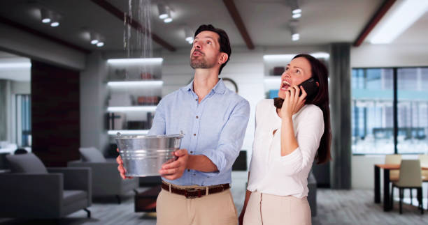 Best Residential water damage restoration  in Phillips, WI